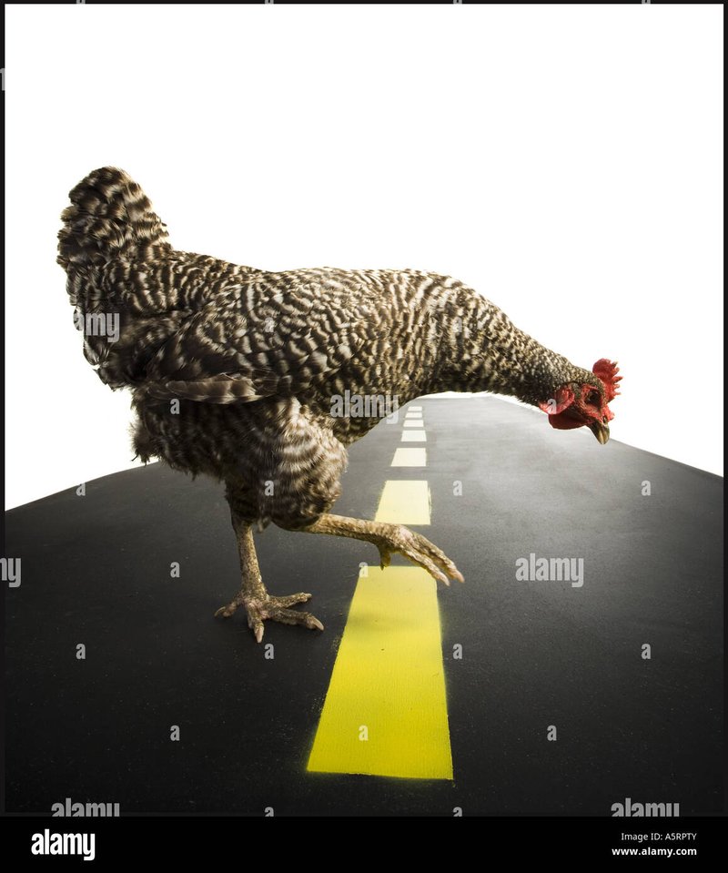 Een Intensieve Botsing: De Meest Beluisterde Gokspel Zender van Nederland - overview