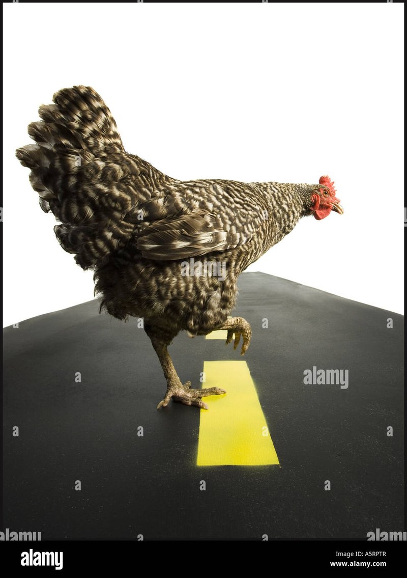 Image: Descubre el Juego de Azar de Chicken Road en la Mejor Plataforma de Juego en Image: Descubre el Juego de Azar de Chicken Road en la Mejor Plataforma de Juego en